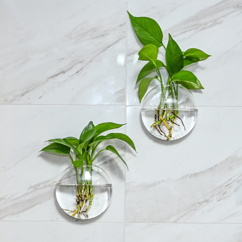 Wall Hanging Hydroponic Glass Vase